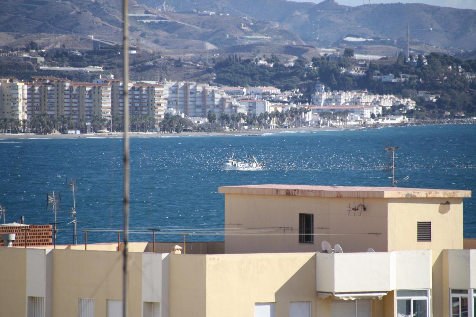 Estudio Plazamar Beach Torre Del Mar Εξωτερικό φωτογραφία